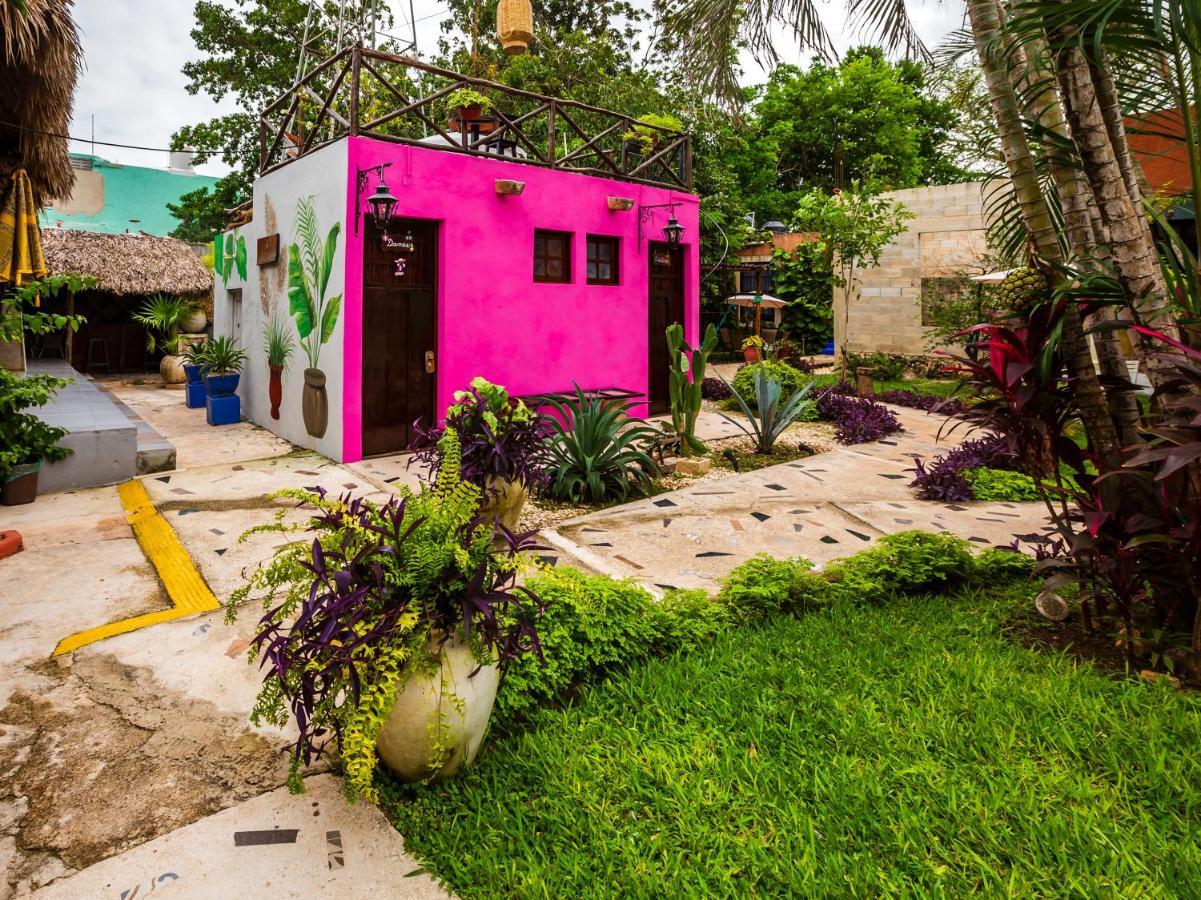 Casa Aluxes Hotel 바야돌리드 외부 사진