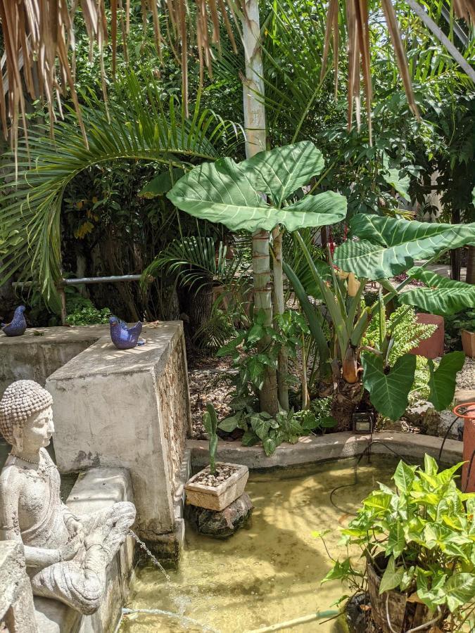 Casa Aluxes Hotel 바야돌리드 외부 사진