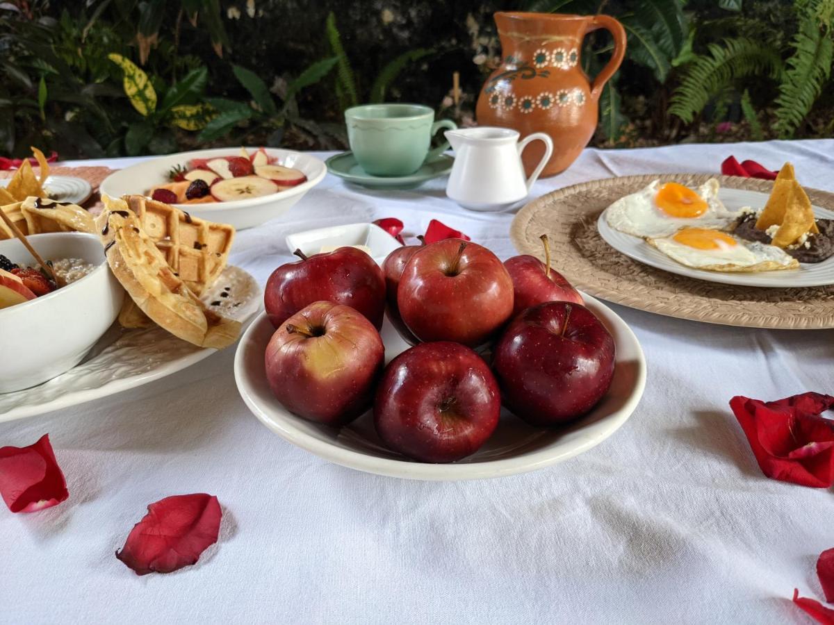 Casa Aluxes Hotel 바야돌리드 외부 사진